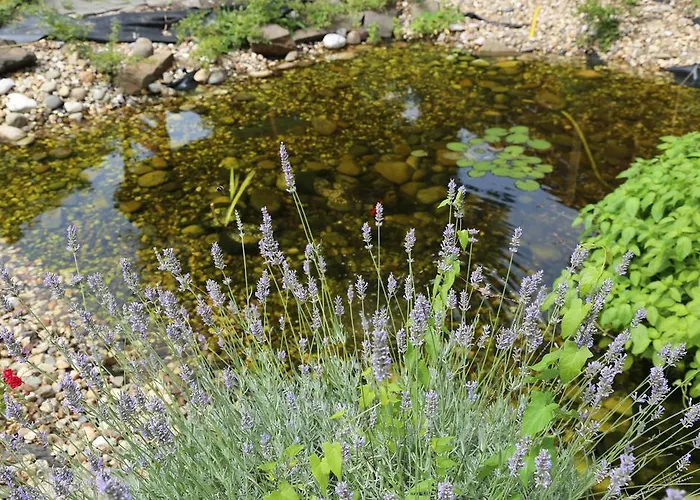 Astoria Easy Szálloda