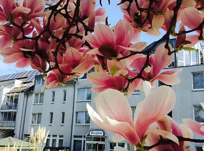 Astoria Hotel Essen 3* 에센